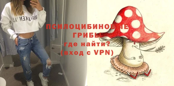 шишки Алзамай