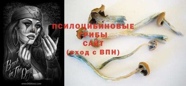 шишки Алзамай