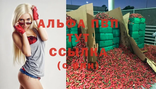 шишки Алзамай