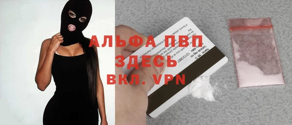 шишки Болотное