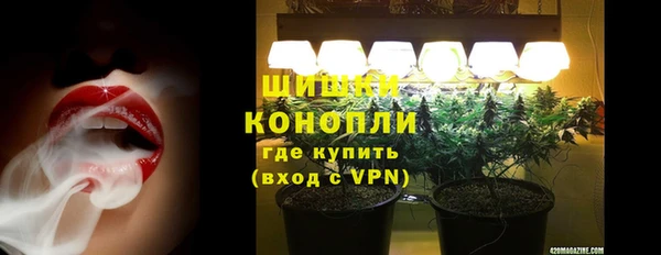 шишки Алзамай