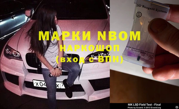шишки Алзамай